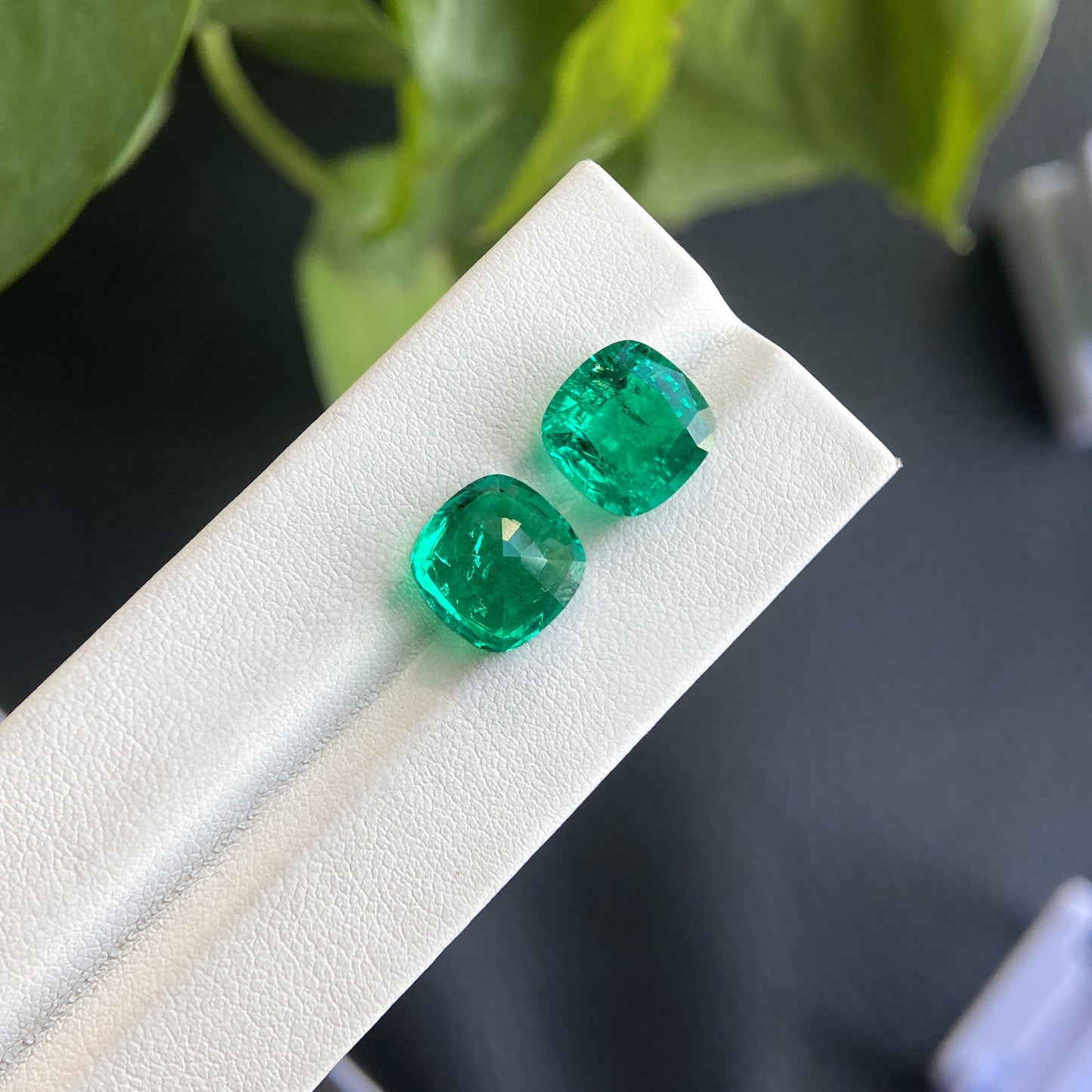 Lab Grown Colombian Emerald Square Cushion Shape