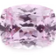 Morgan Pink