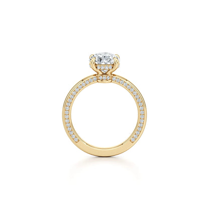 2~3CT 4-Prong Light Luxury Ring|18K Gold Plated S925 Silver Moissanite & Lab Sapphire Engagement Ring