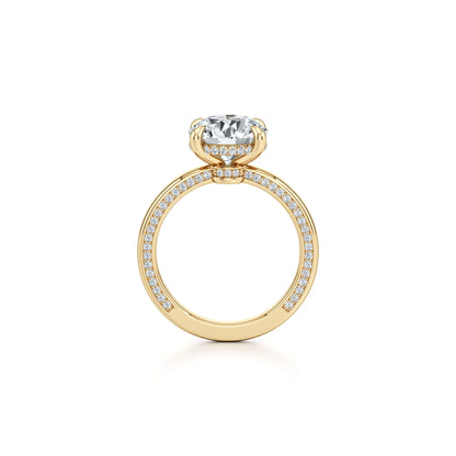 2~3CT 4-Prong Light Luxury Ring|18K Gold Plated S925 Silver Moissanite & Lab Sapphire Engagement Ring
